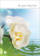 On Your BaptismOn Your Baptism