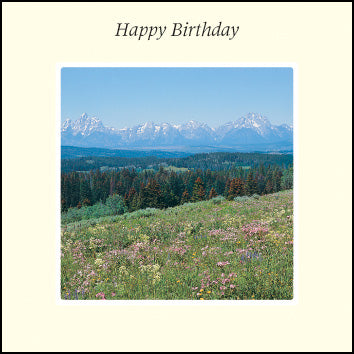 Happy Birthday ****Happy Birthday ****