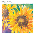 Happy Birthday ****Happy Birthday ****