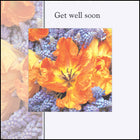 Get Well Soon ****Get Well Soon ****