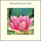 Remembering You Today ****Remembering You Today ****