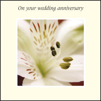On Your Wedding Anniversary ****On Your Wedding Anniversary ****