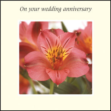 On Your Wedding Anniversary ****On Your Wedding Anniversary ****