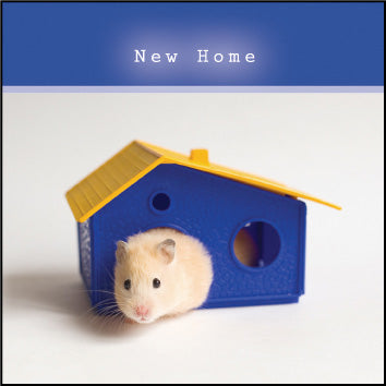 New Home ****New Home ****