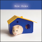 New Home ****New Home ****