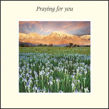 Praying For YouPraying For You