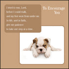 To Encourage You ****To Encourage You ****