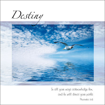 Destiny ****Destiny ****