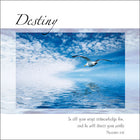 Destiny ****Destiny ****