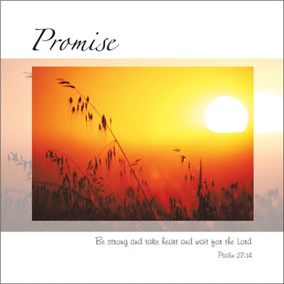 Promise ****Promise ****