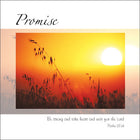 Promise ****Promise ****