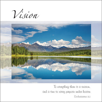 Vision ****Vision ****