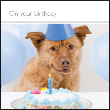 On Your Birthday (M) ****On Your Birthday (M) ****