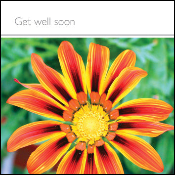 Get Well Soon ****Get Well Soon ****