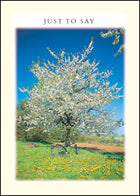 Just To Say ****Just To Say ****