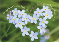 Perfect Love ****Perfect Love ****