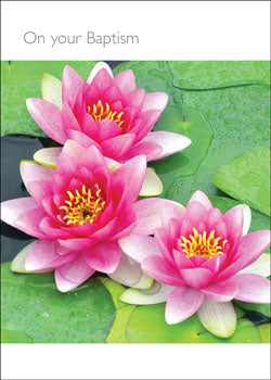 On Your Baptism (A)On Your Baptism (A)