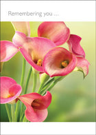 Remembering You - Std Card GlossRemembering You - Std Card Gloss