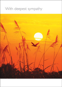 With Deepest SympathyWith Deepest Sympathy