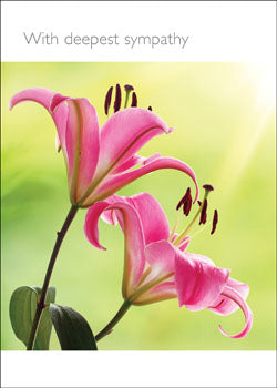 With Deepest SympathyWith Deepest Sympathy