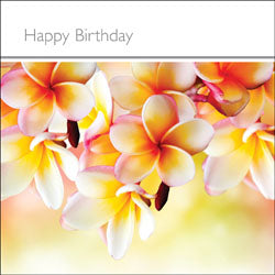 Happy Birthday (F)Happy Birthday (F)