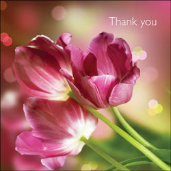 Thank You - Square Card GlossThank You - Square Card Gloss