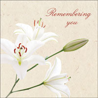 Remembering YouRemembering You