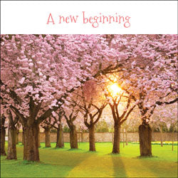 A New BeginningA New Beginning