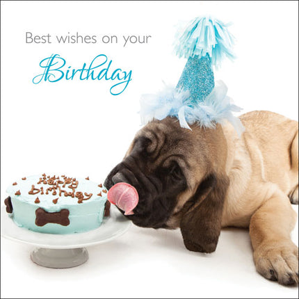 Best Wishes On Your BirthdayBest Wishes On Your Birthday