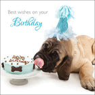 Best Wishes On Your BirthdayBest Wishes On Your Birthday