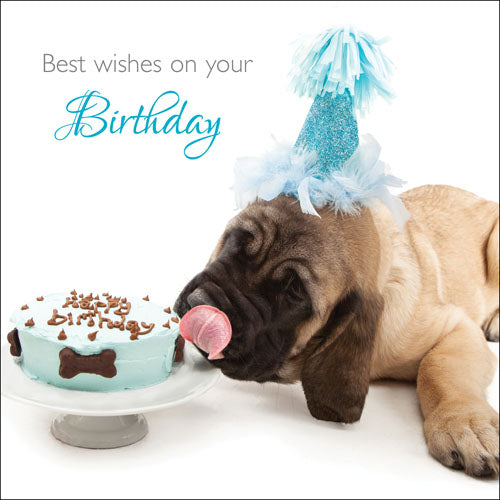 Best Wishes On Your BirthdayBest Wishes On Your Birthday