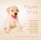 Prayers For Joy - Mp3Prayers For Joy - Mp3