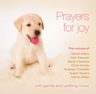 Prayers For Joy - Mp3Prayers For Joy - Mp3