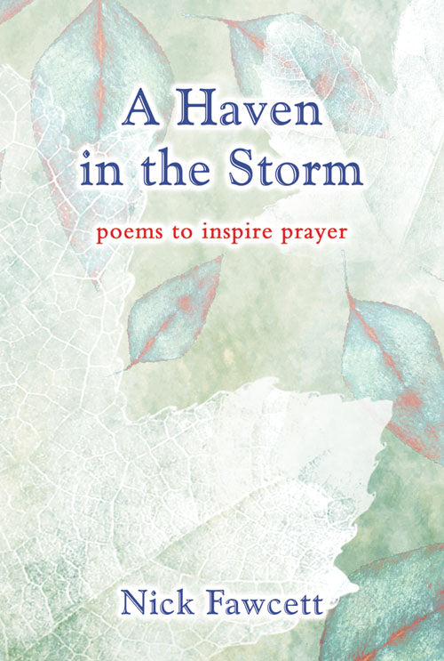 A Haven In The Storm -A Haven In The Storm -