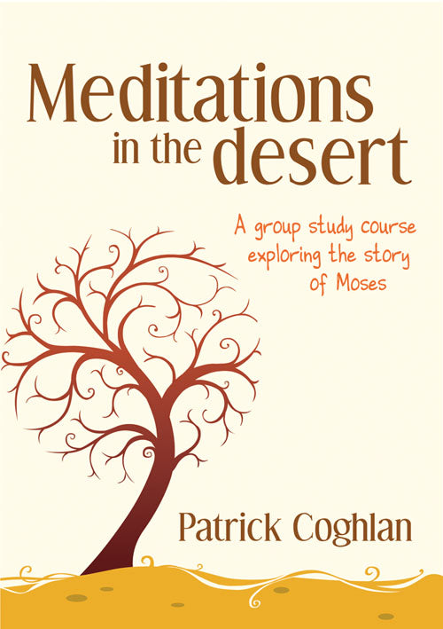 Meditations In The DesertMeditations In The Desert