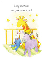 Congratulations On Your New ArrivalCongratulations On Your New Arrival